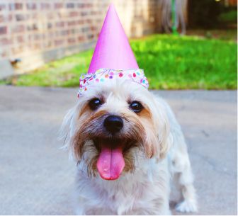 イベント記事2 イベント記事2