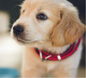 イベント記事1 イベント記事1