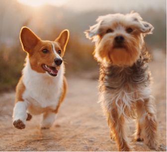 イベント記事3 イベント記事3