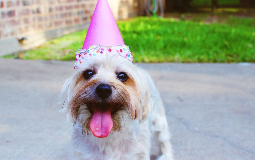 マルシェやグルメなど盛りだくさん マルシェやグルメなど盛りだくさん