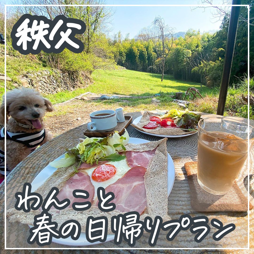 秩父わんこと春の日帰りプラン