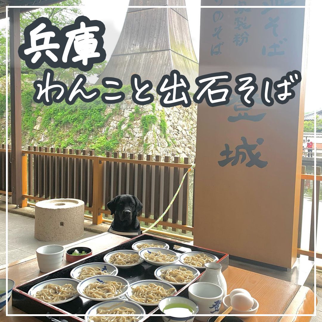 兵庫わんこと出石そば