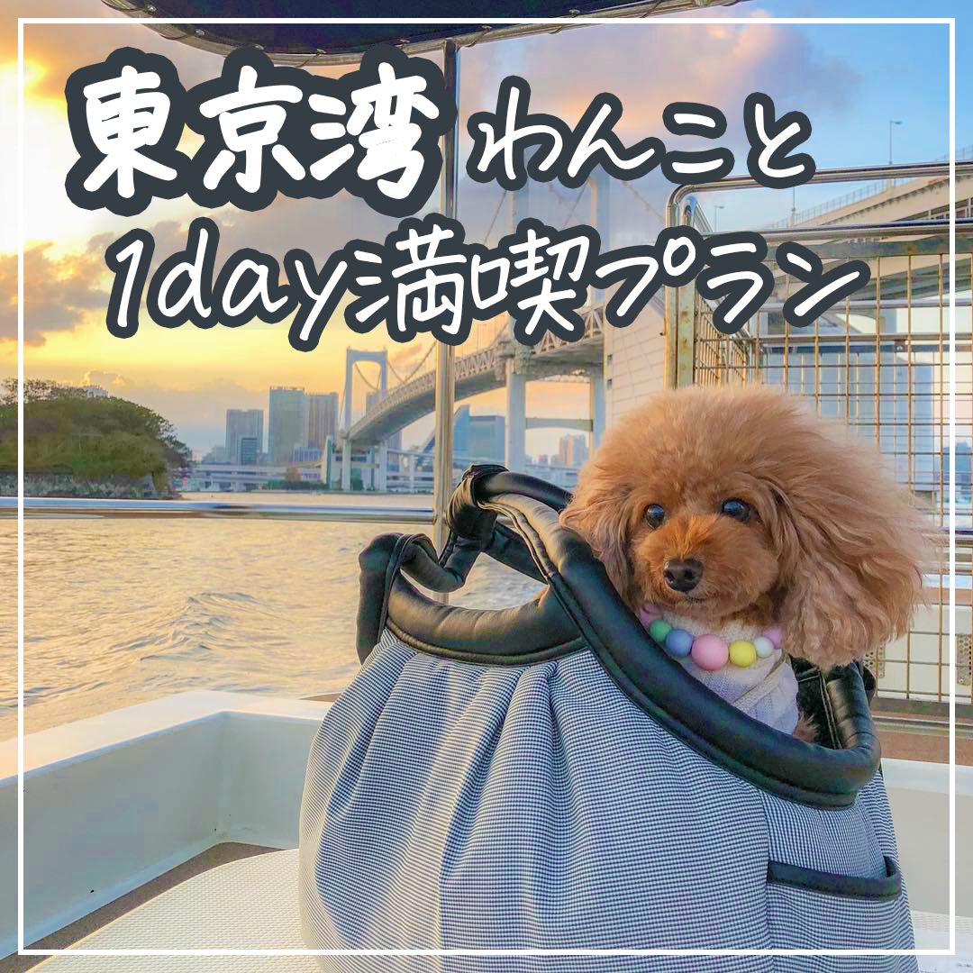 東京湾わんこと1day満喫プラン