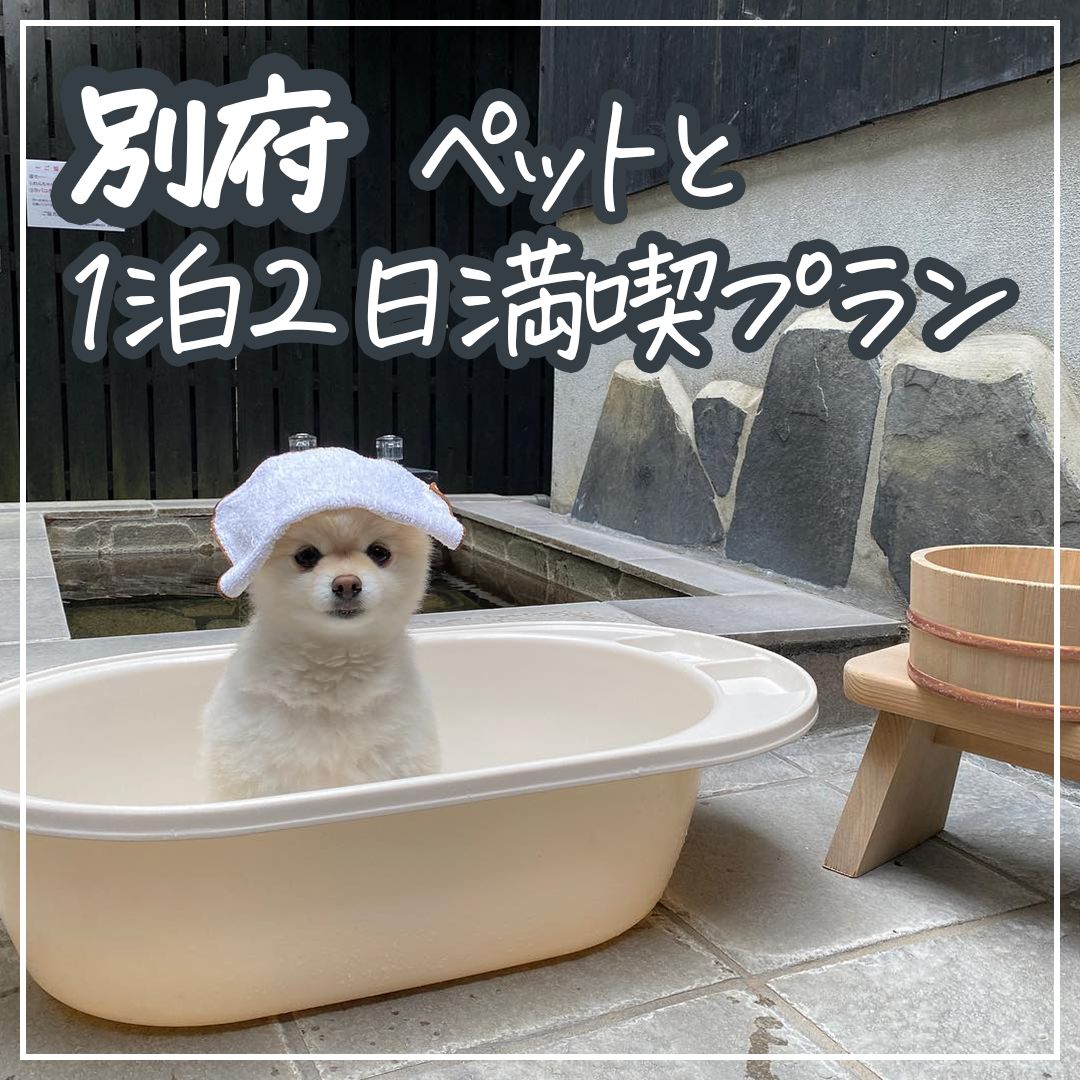 別府 ペットと１泊２日満喫プラン