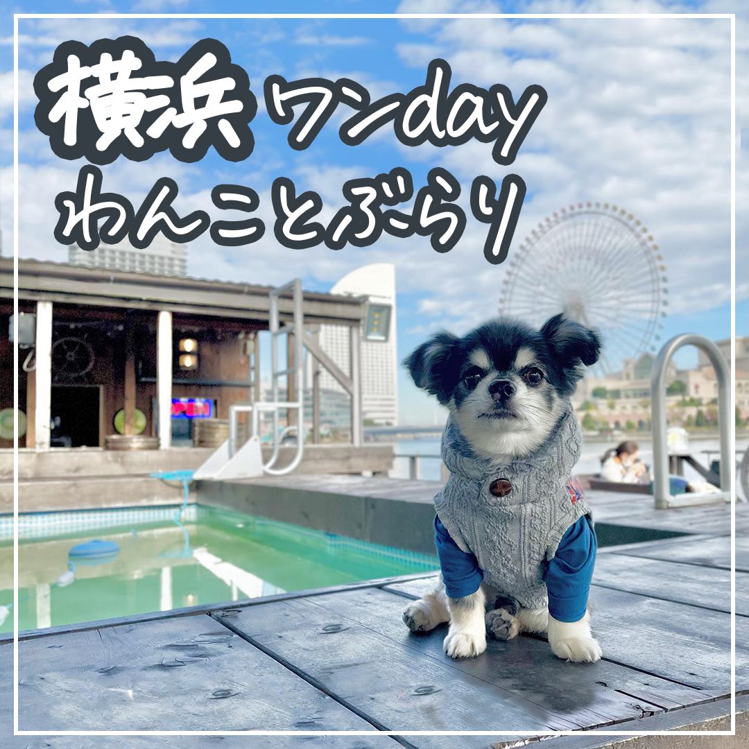 横浜 ワンdayわんことぶらり