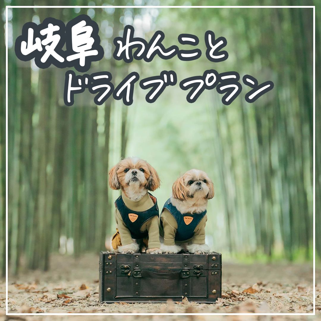 岐阜わんことドライブプラン