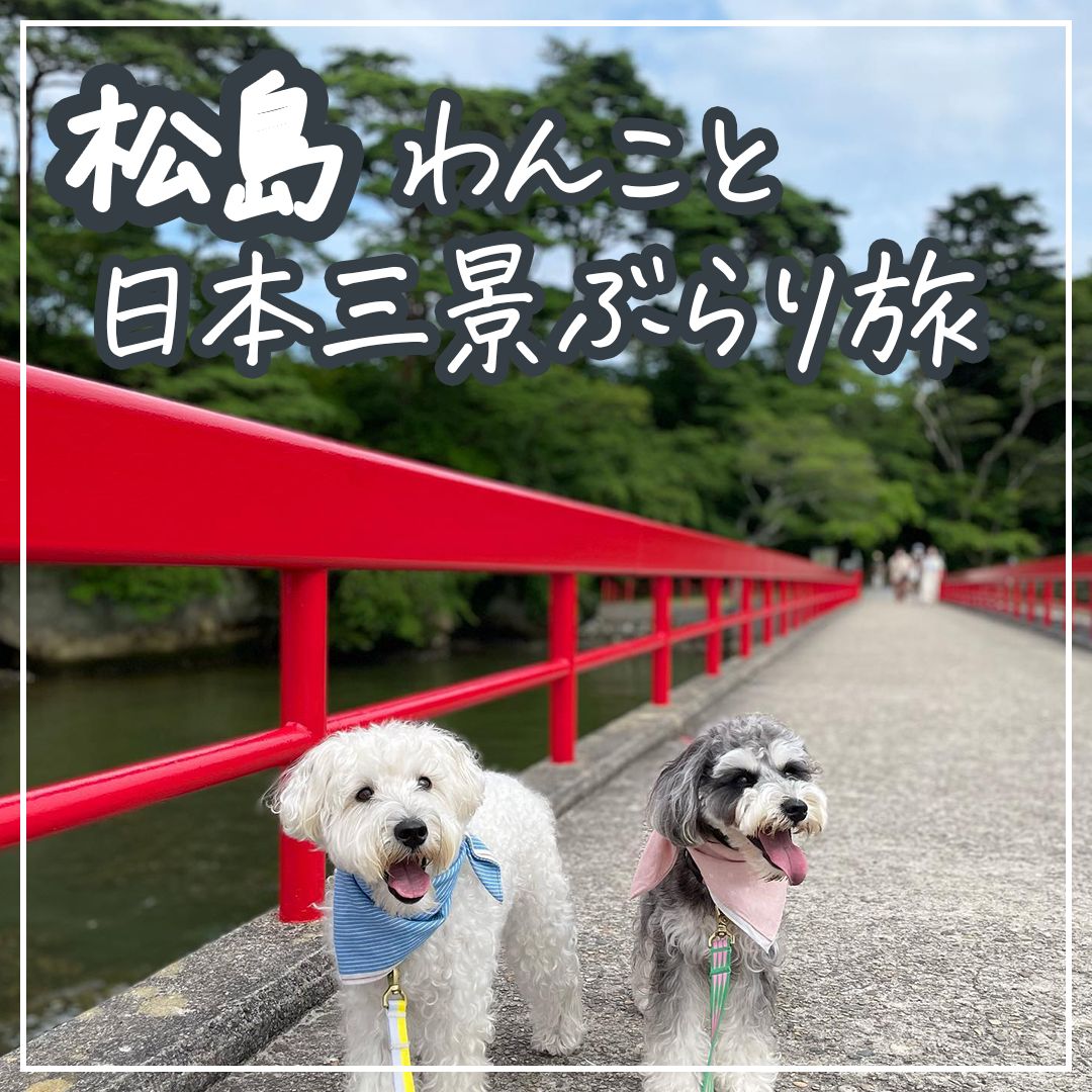 松島わんこと日本三景ぶらり旅