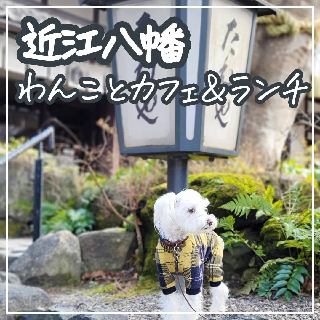 近江八幡わんことカフェ＆ランチ