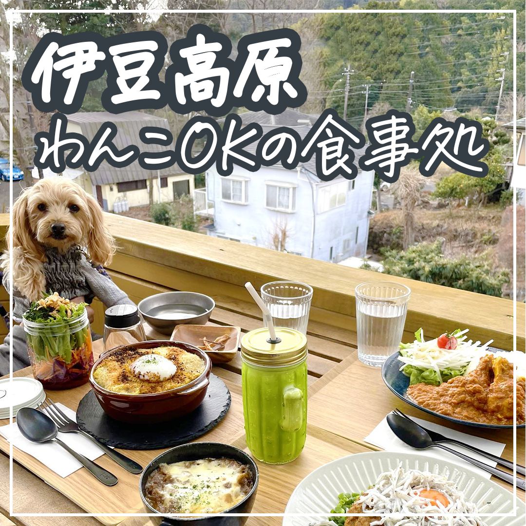 伊豆高原 わんこOKの食事処