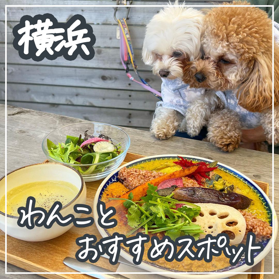 横浜 わんことおすすめスポット