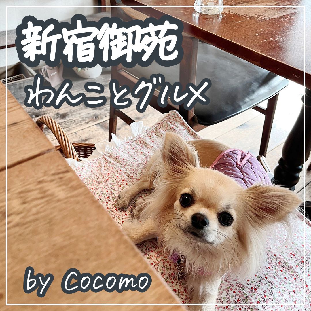 新宿御苑 わんことグルメ