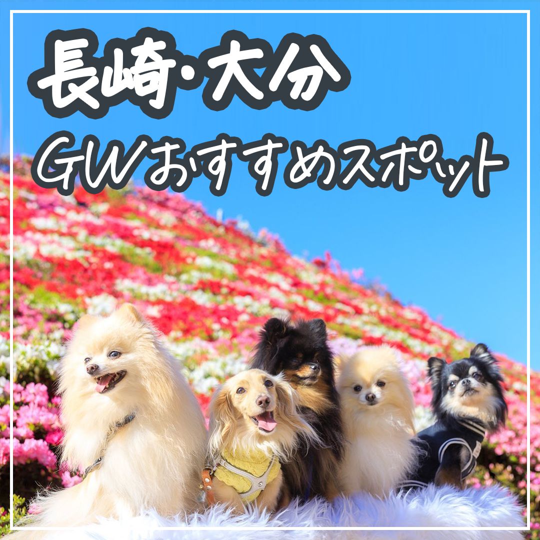 長崎・大分 GWおすすめスポット
