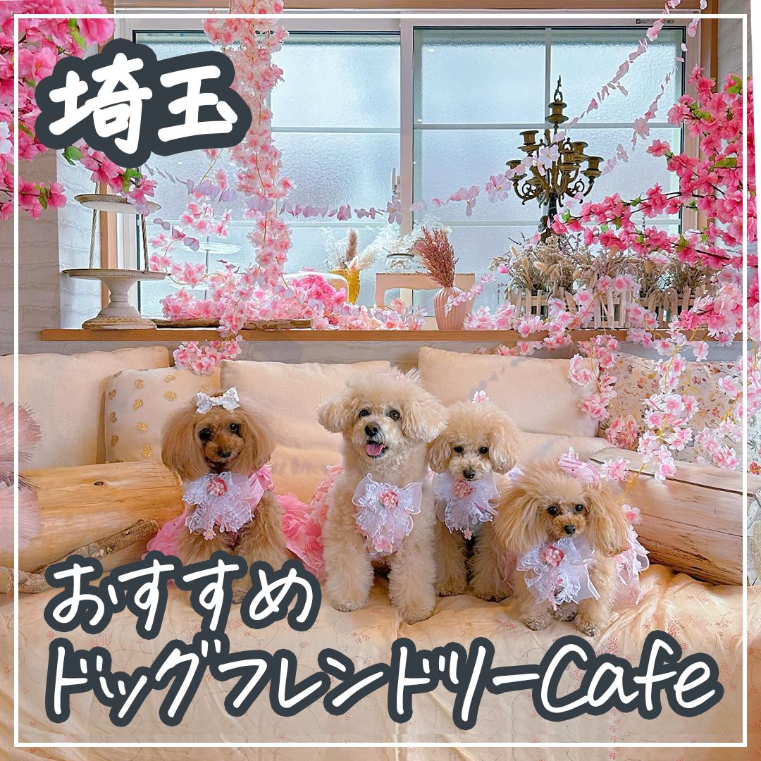 埼玉 ドッグフレンドリーカフェ