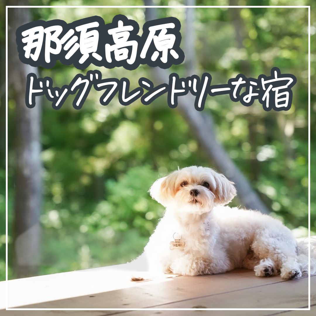 那須高原 ドッグフレンドリーな宿