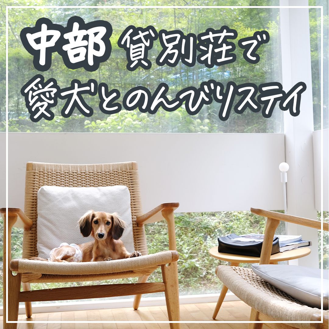中部 貸別荘で愛犬とのんびりステイ
