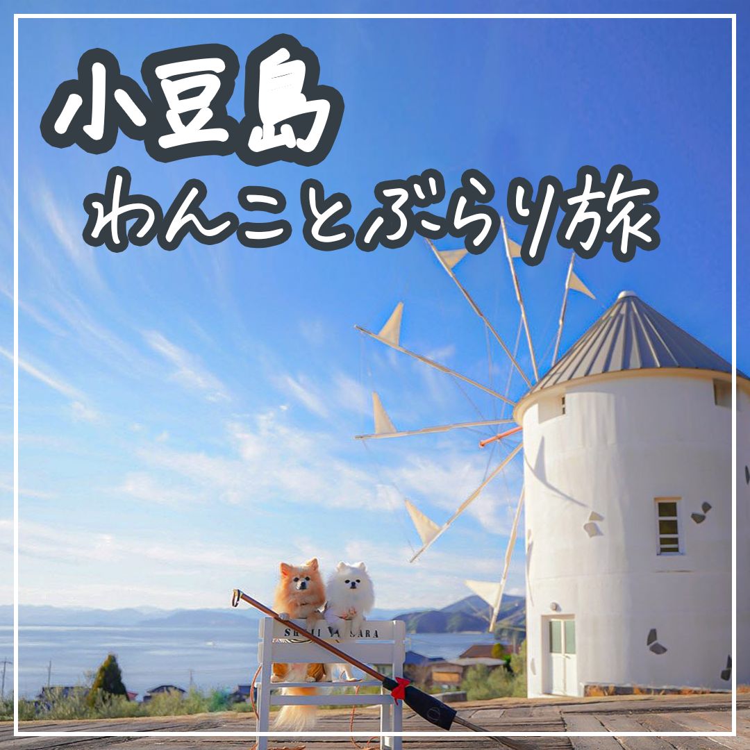 小豆島 わんことぶらり旅