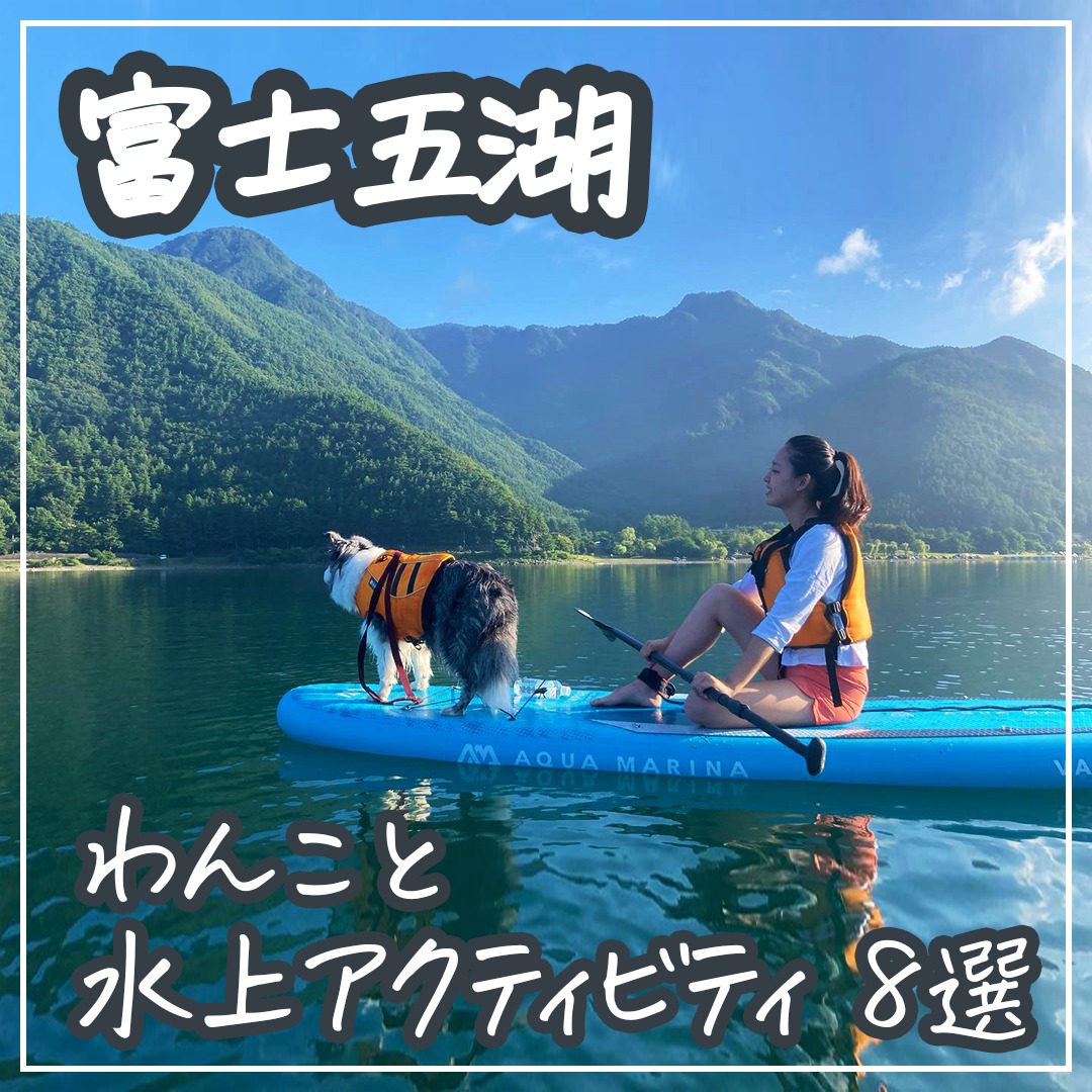 富士五湖 わんこと水上アクティビティ