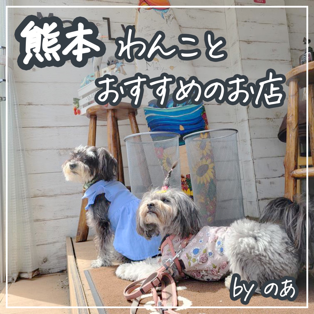 熊本 わんことおすすめのお店