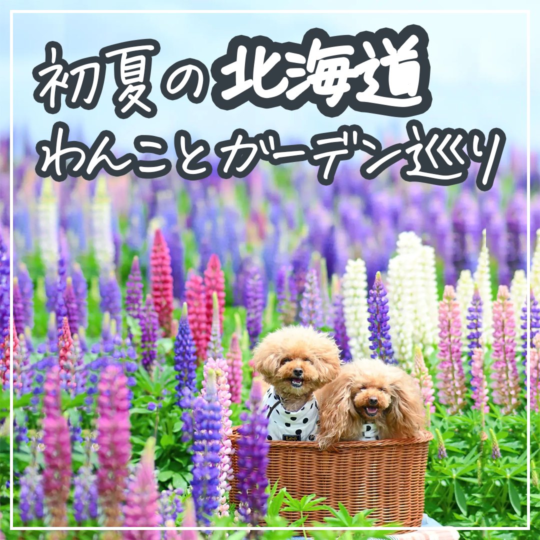 初夏の北海道わんことガーデン巡り