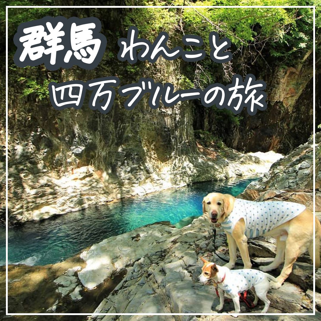 群馬 わんこと四万ブルーの旅