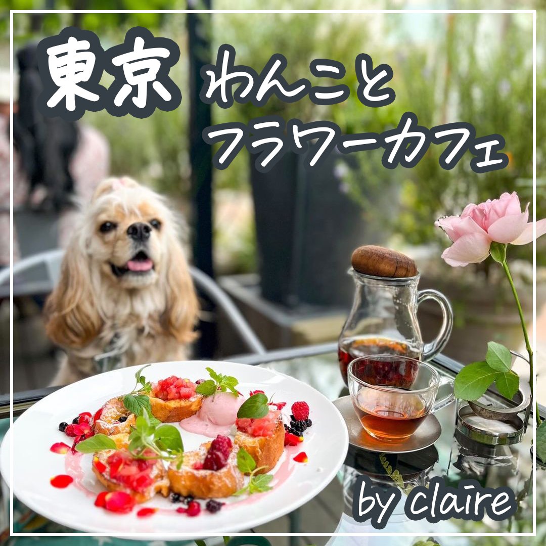 東京 わんことフラワーカフェ