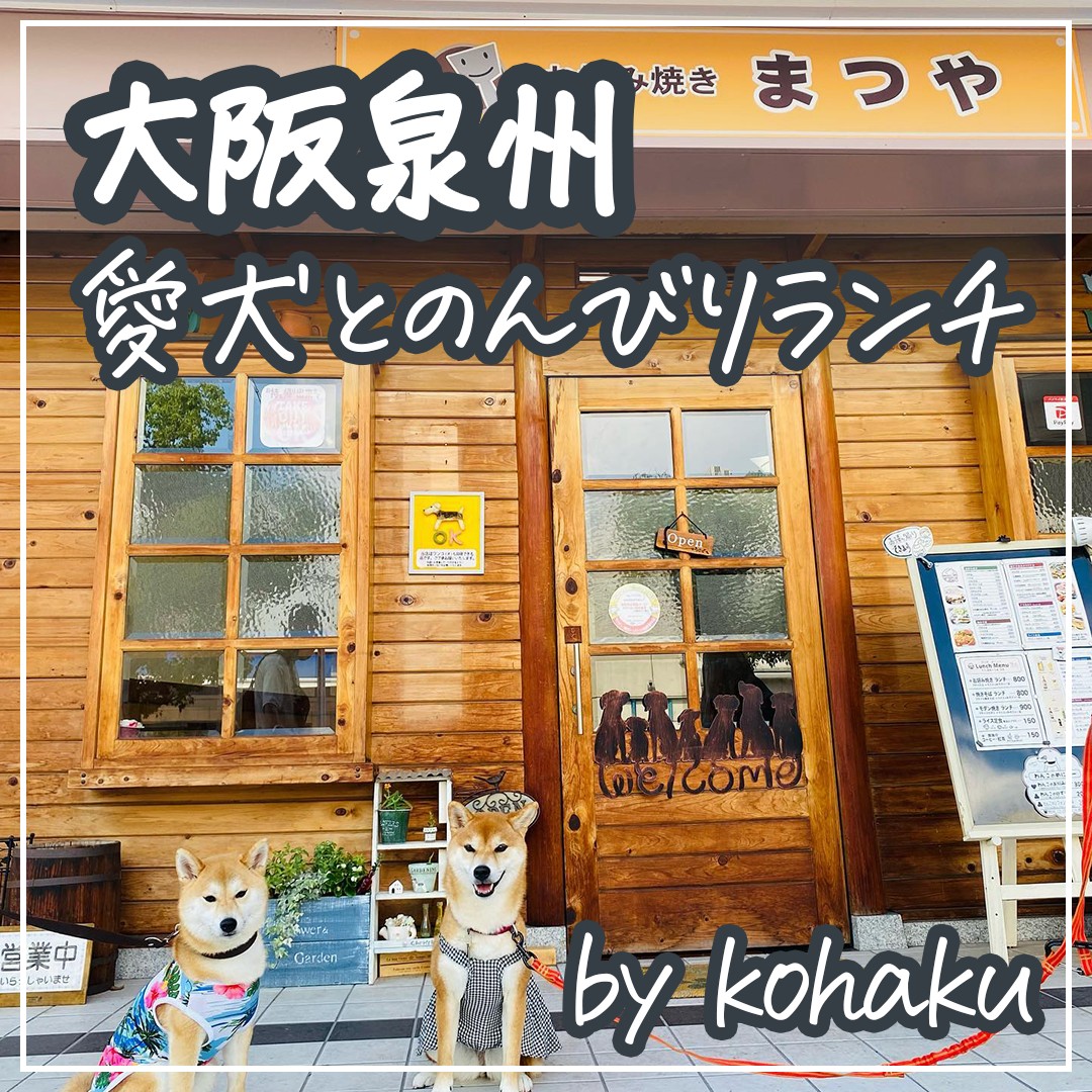 大阪泉州 愛犬とのんびりランチ