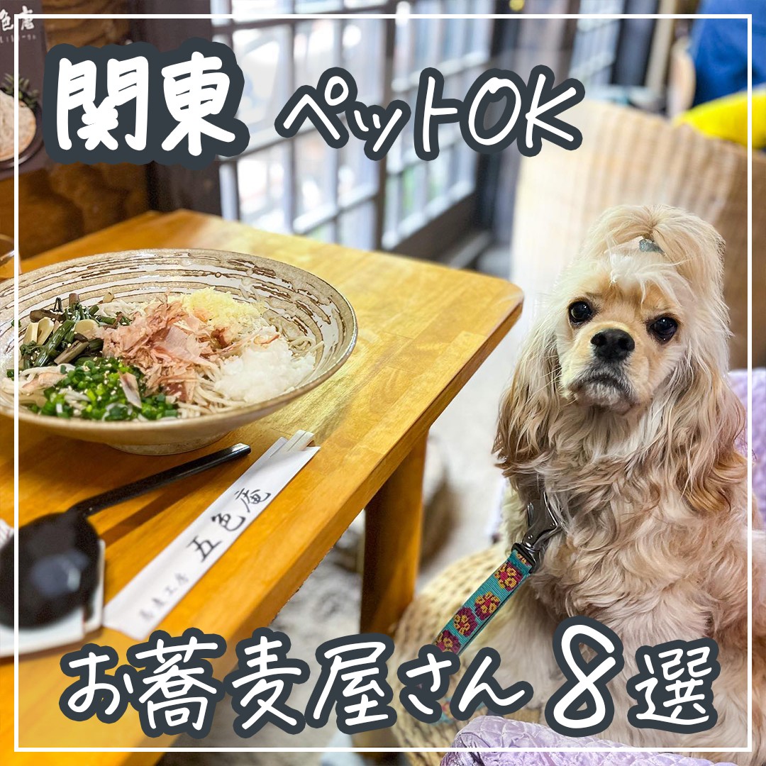 関東 ペットOKお蕎麦屋さん 8選