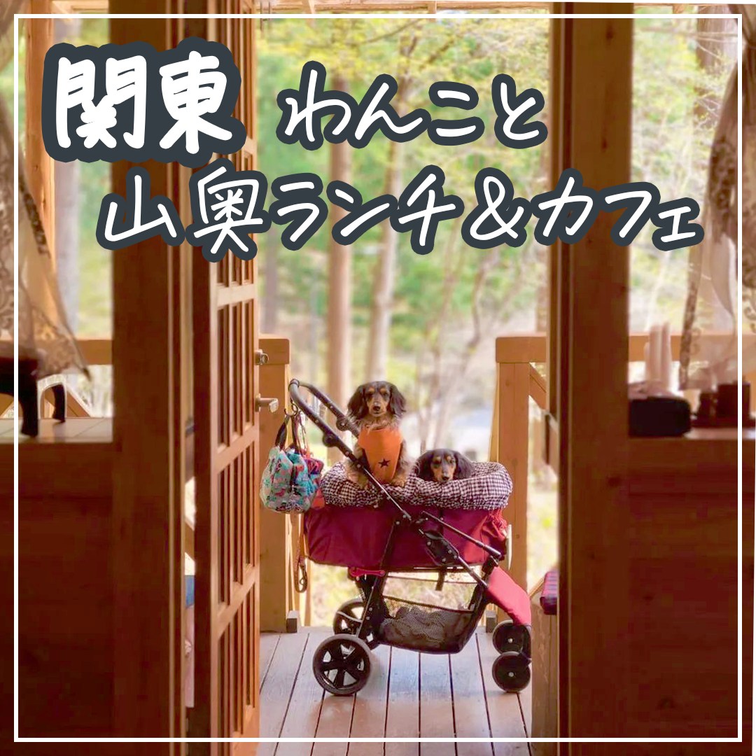 関東 わんこと山奥ランチ＆カフェ
