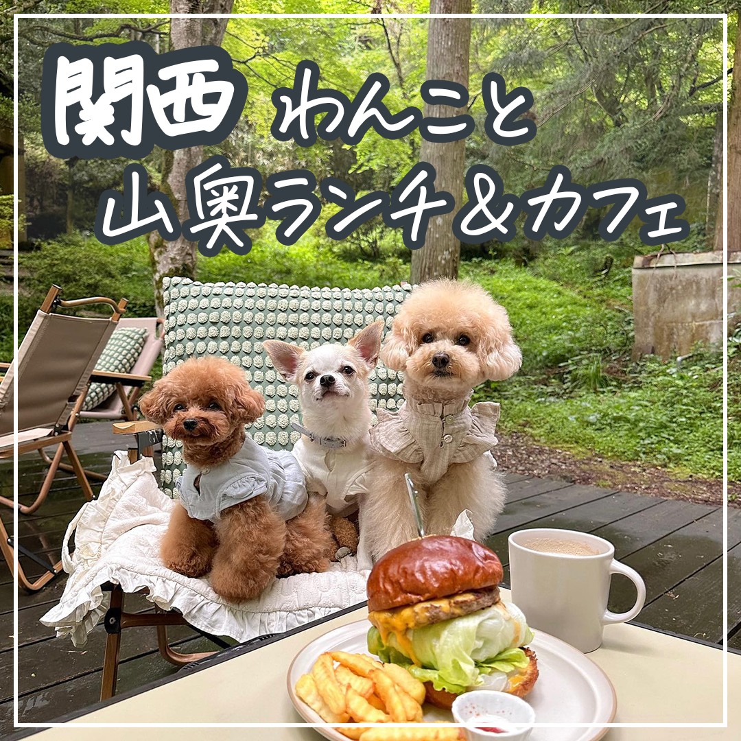 関西わんこと山奥カフェ＆ランチ