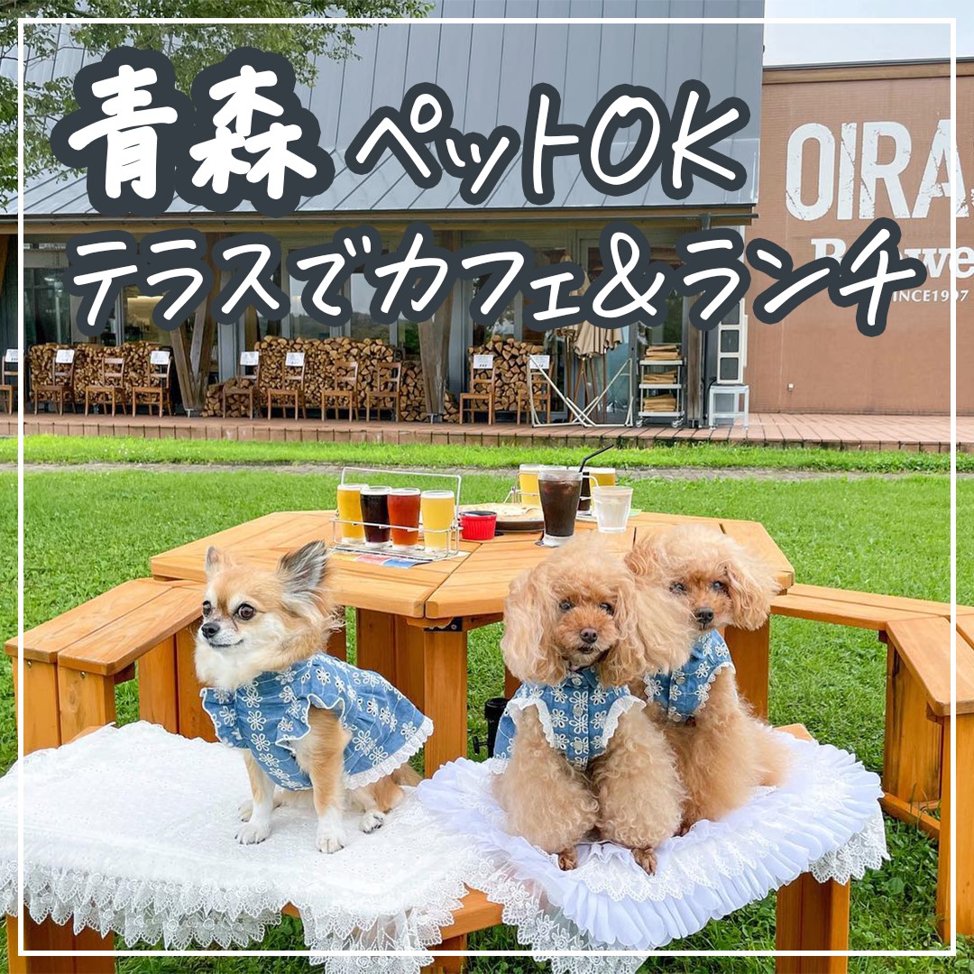 青森 ペットOK テラスでカフェ＆ランチ
