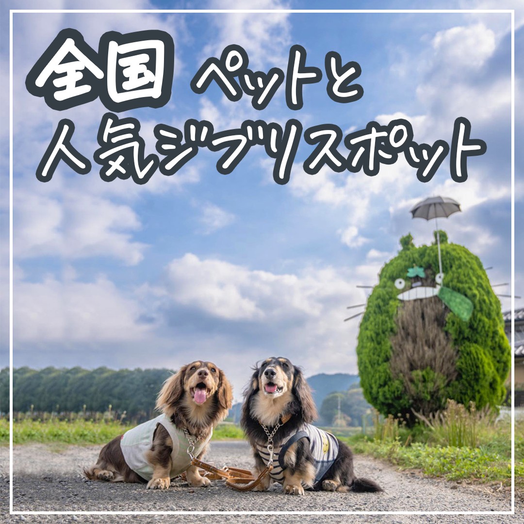 全国 ペットと人気ジブリスポット