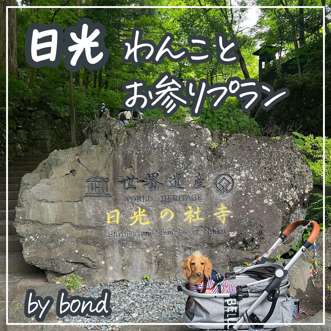 日光 わんことお参りプラン