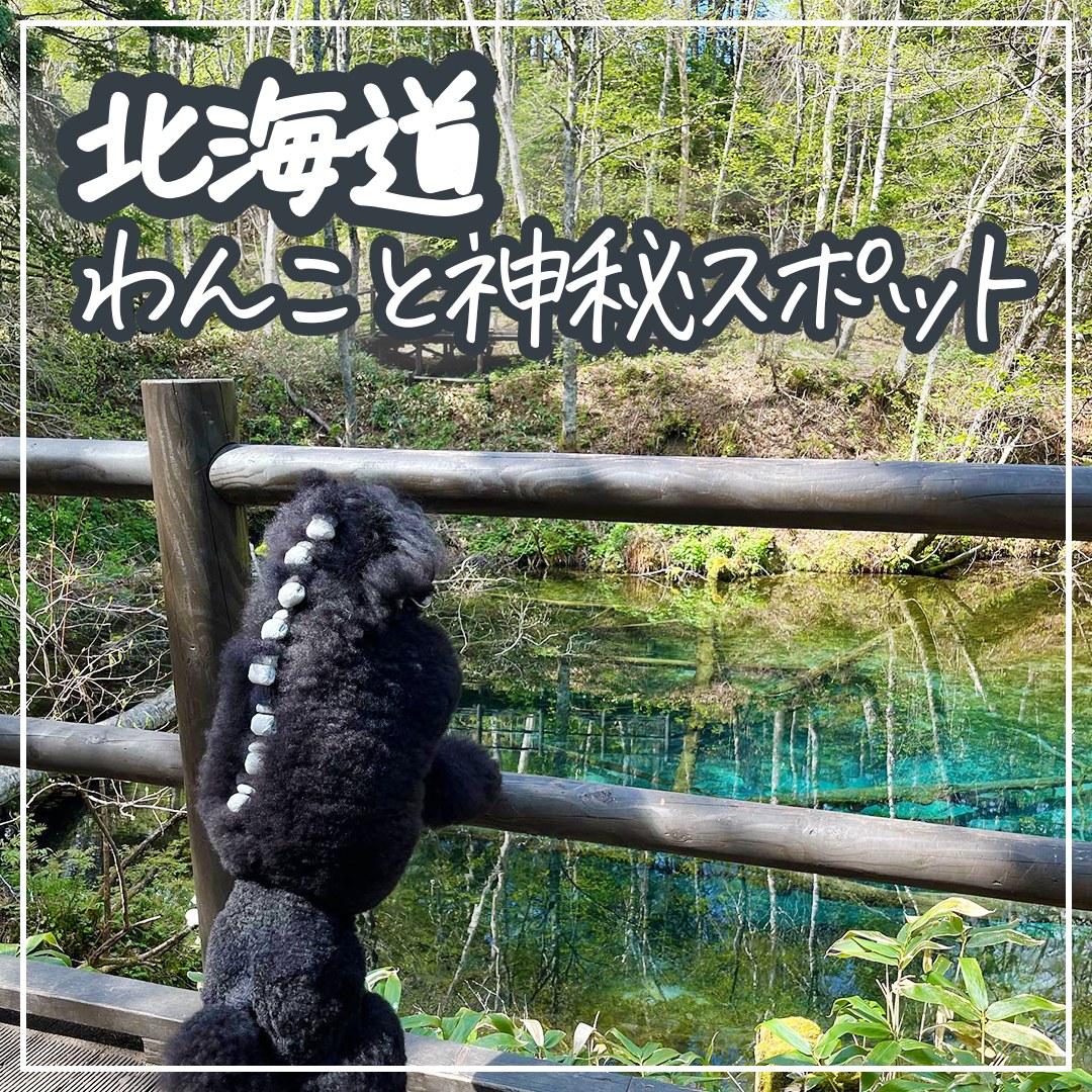 北海道わんこと神秘スポット　