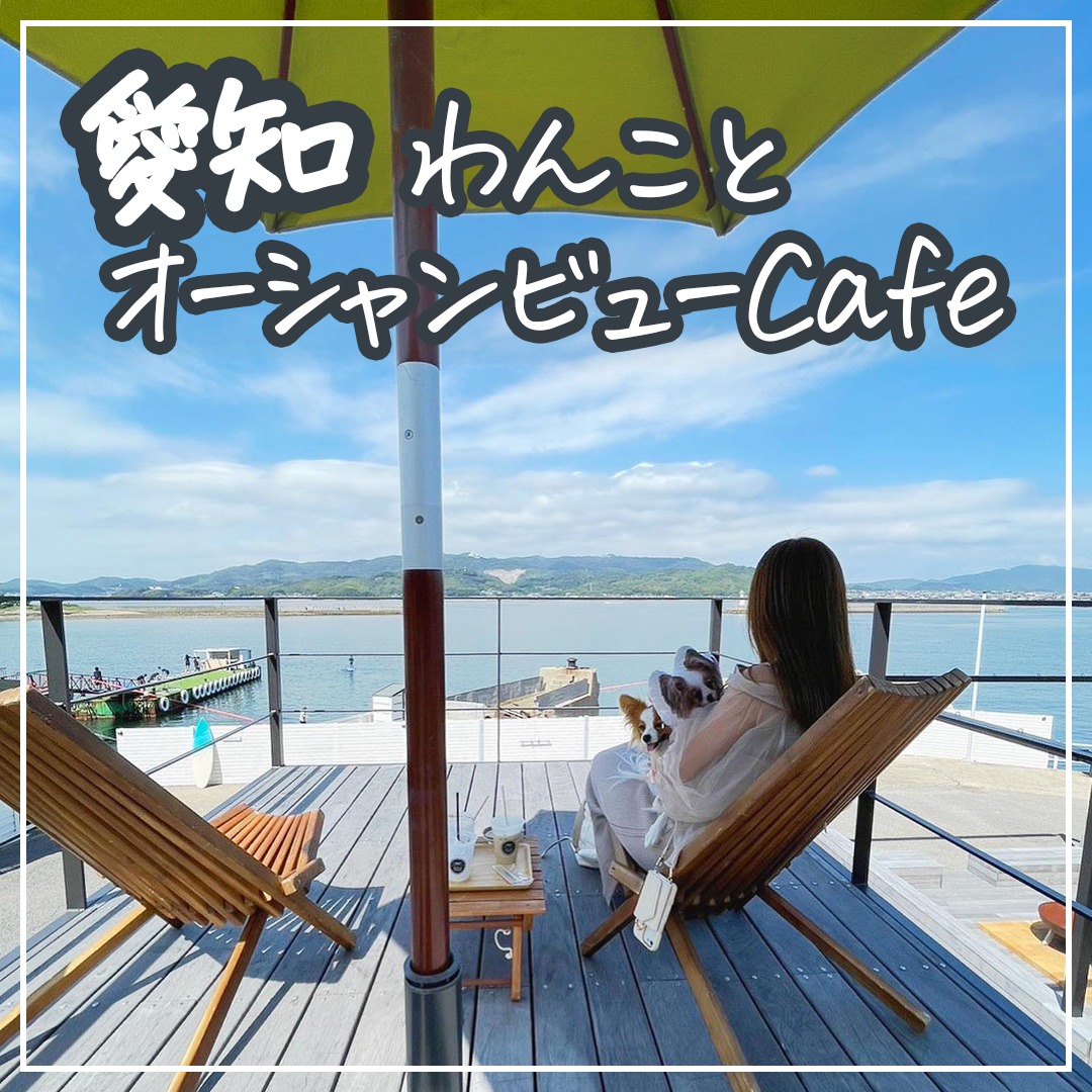 愛知わんことオーシャンビューカフェ