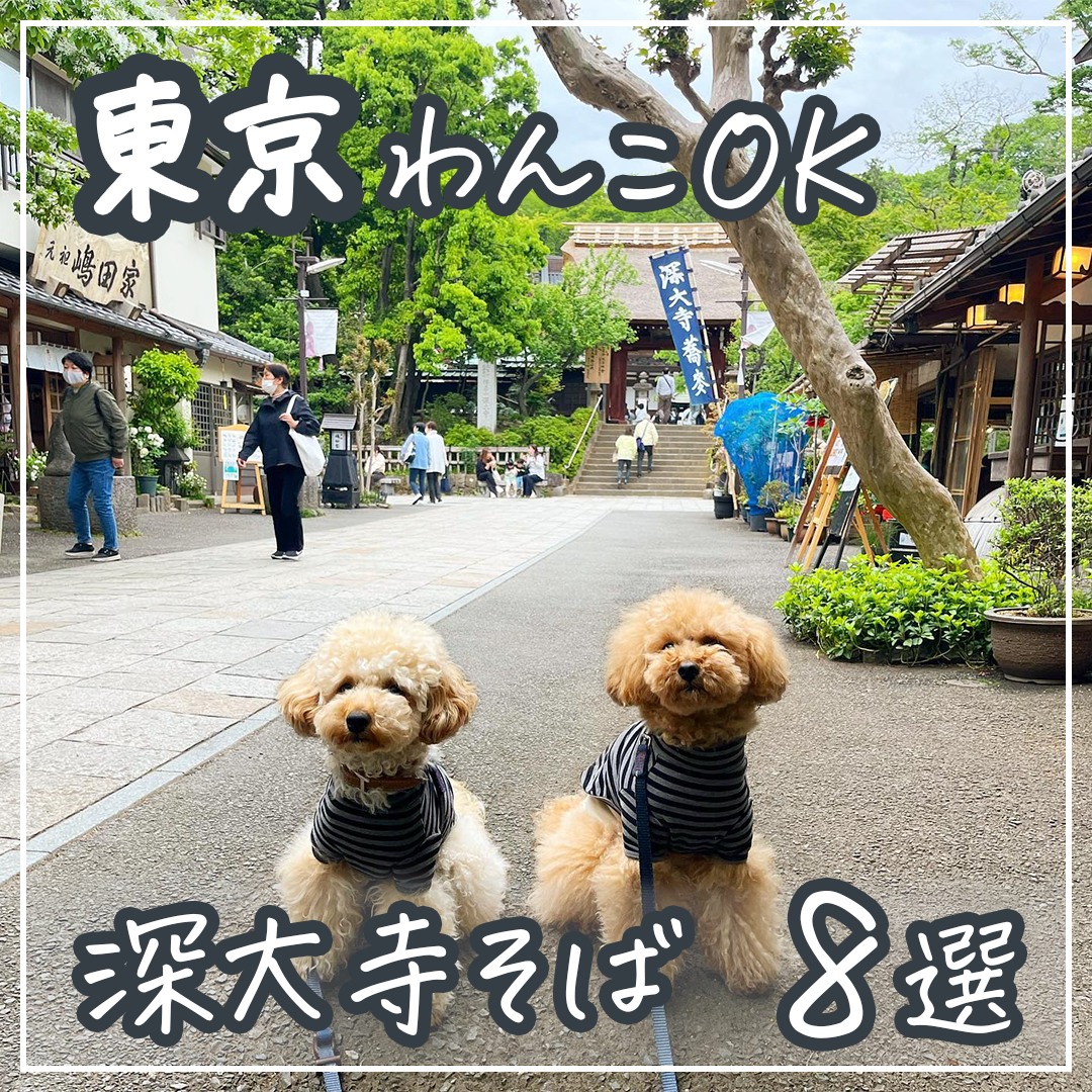 東京 わんこと深大寺そば　8選