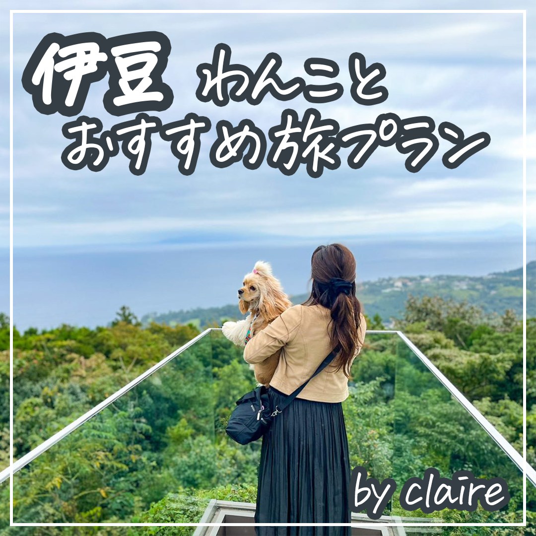 伊豆 わんことおすすめ旅プラン