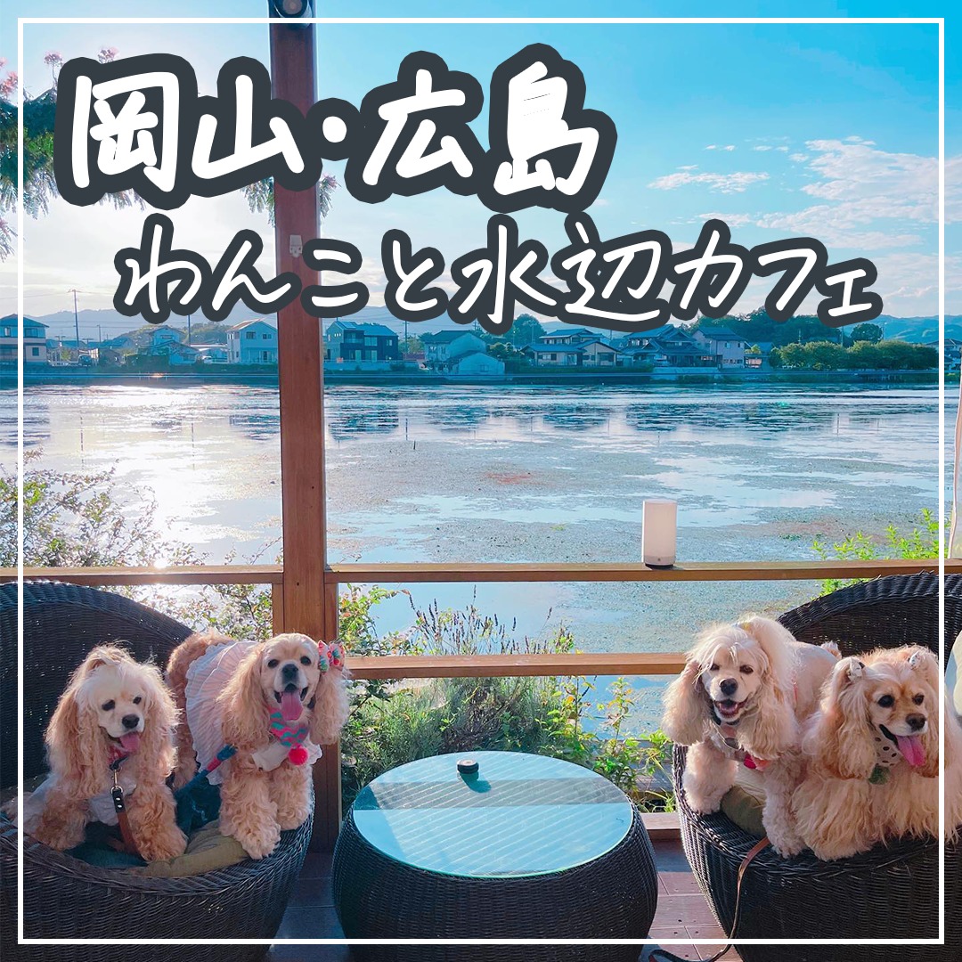 岡山・広島 わんこと水辺カフェ