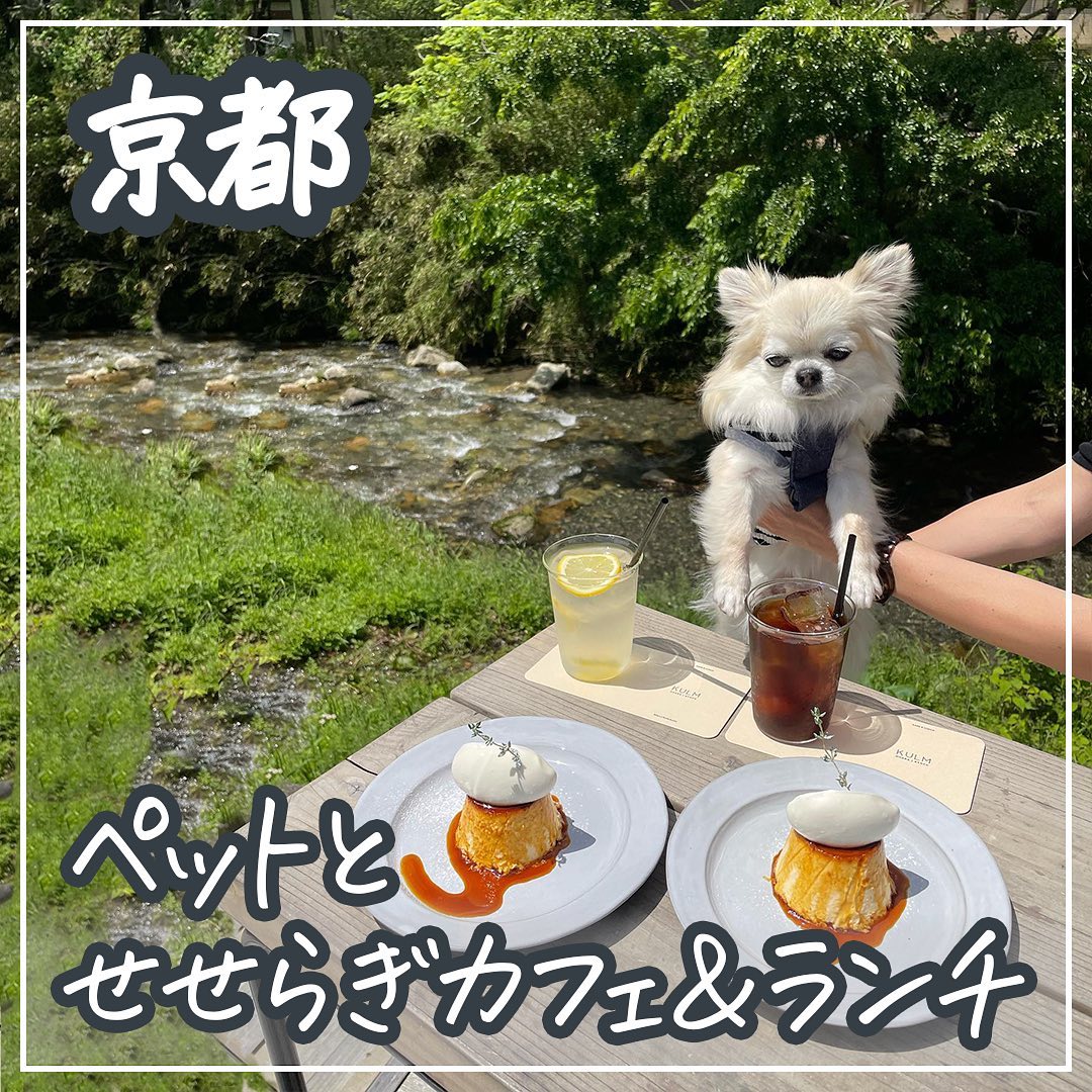 京都 ペットとせせらぎカフェ＆ランチ