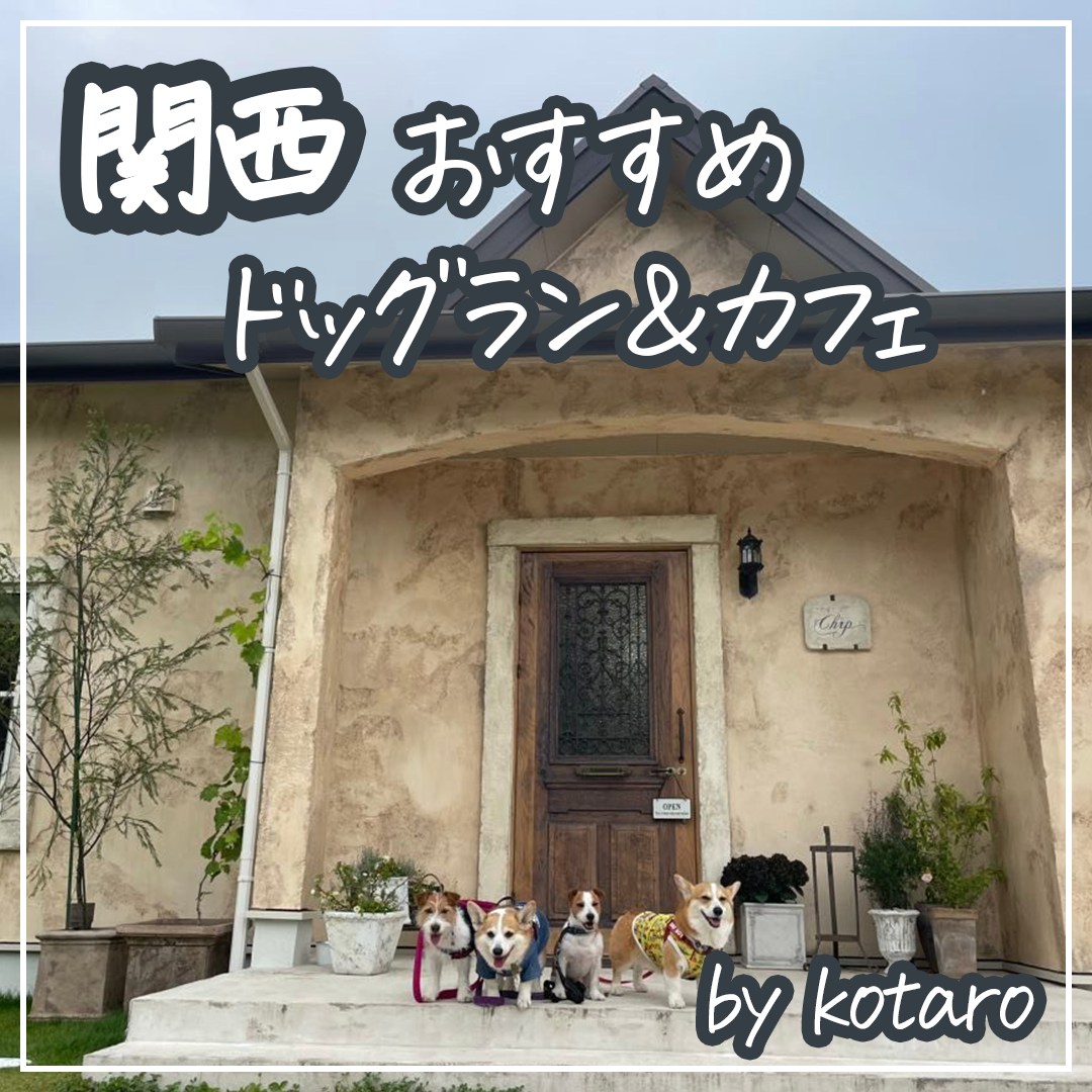関西 おすすめドッグラン＆カフェ