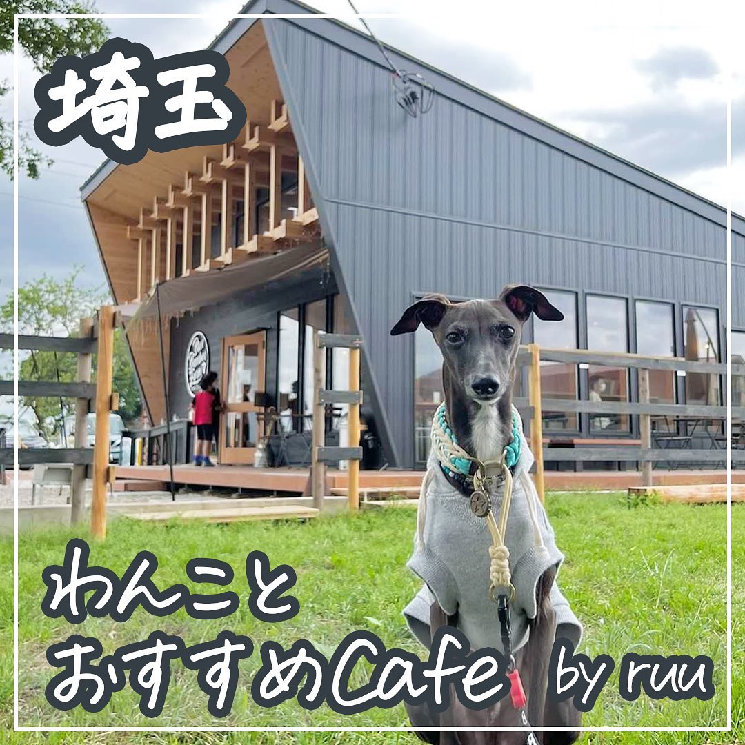 埼玉 わんことおすすめCafe