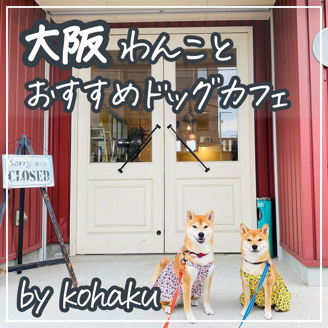 大阪わんことおすすめドッグカフェ
