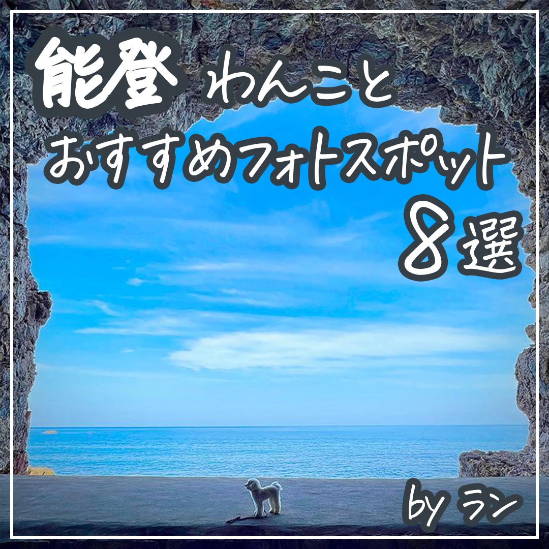 能登 わんことおすすめフォトスポット8選