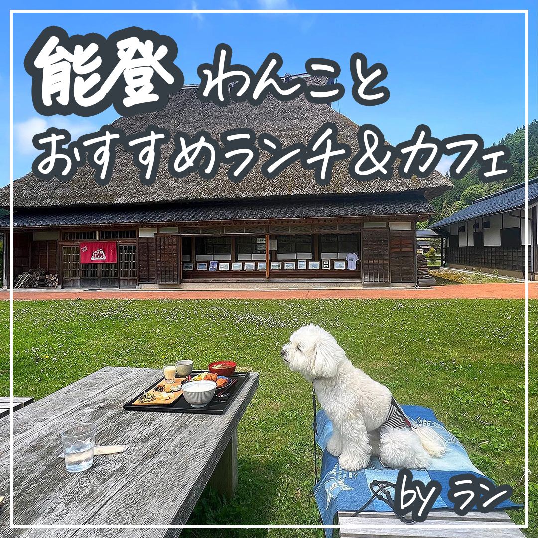 能登 わんことおすすめランチ＆カフェ