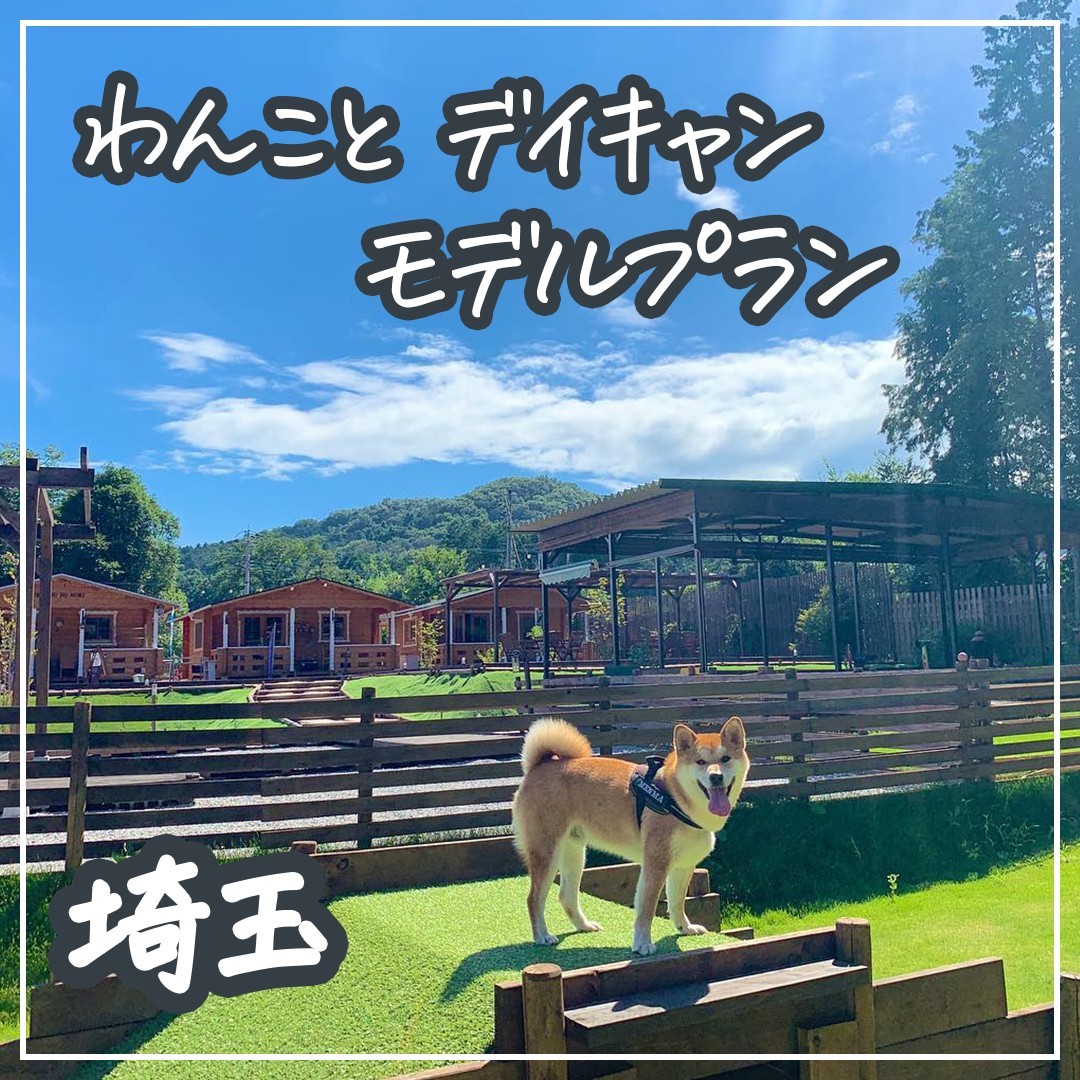 埼玉 わんことデイキャン モデルプラン