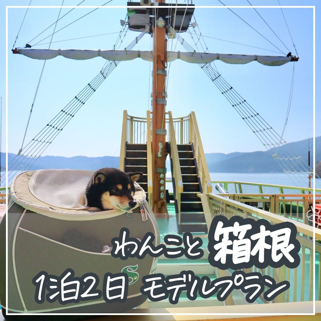 わんこと箱根１泊2日モデルプラン