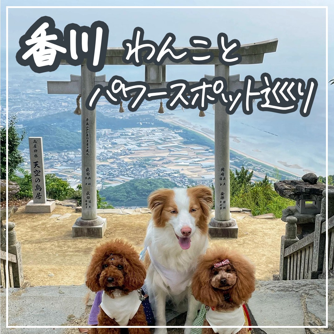 香川わんことパワースポット