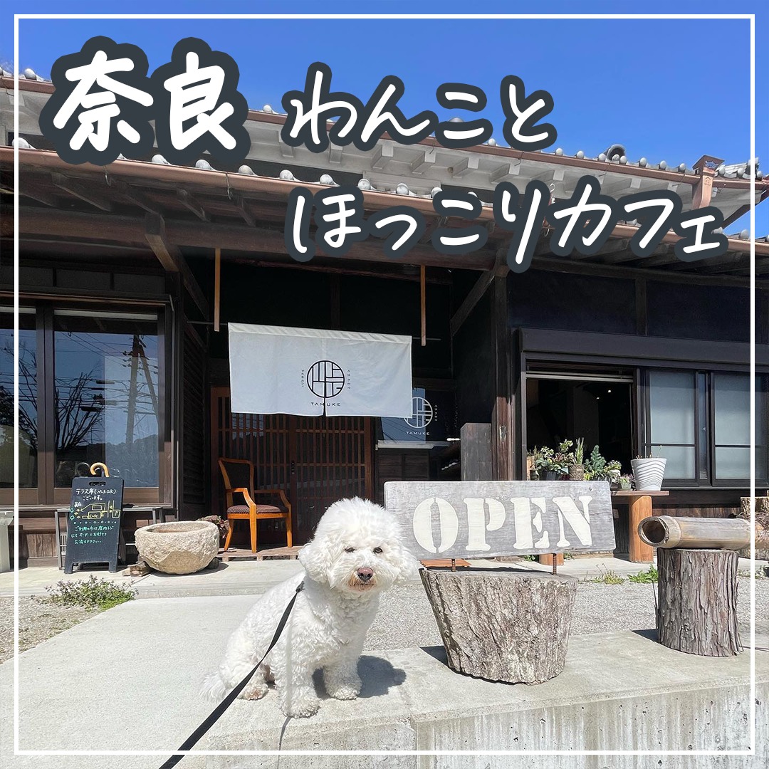 奈良 わんことほっこりカフェ
