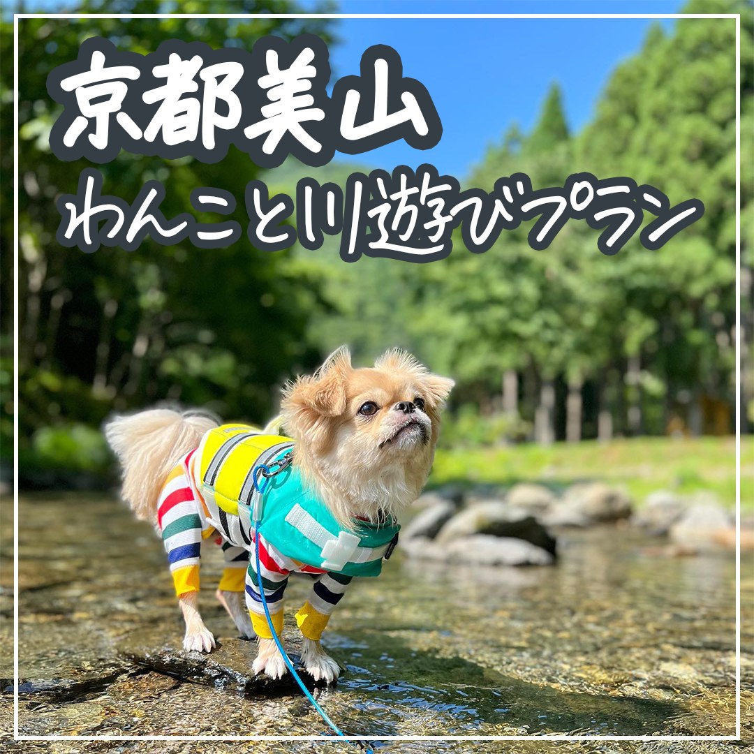 京都美山 わんこと川遊びプラン