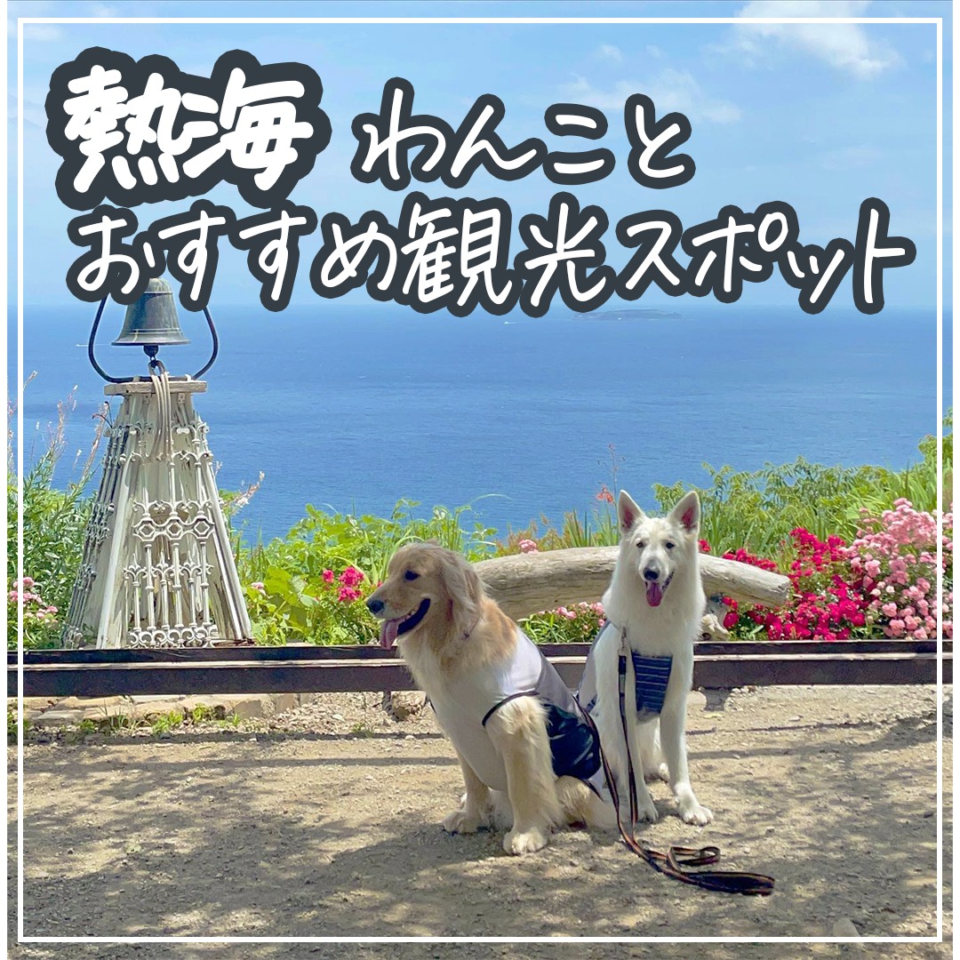 熱海 わんことおすすめ観光スポット