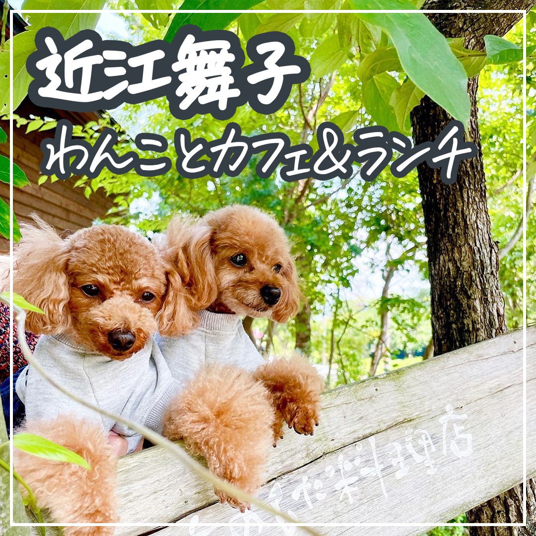 近江舞子 わんことカフェ＆ランチ
